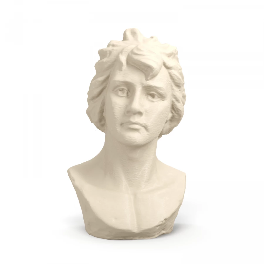 “Bertolino Bust of a Woman” by Unidentified Sculptors 