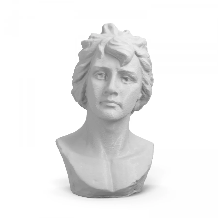 Bertolino Bust of a Woman